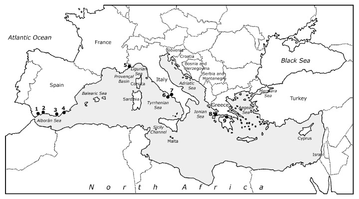Map of the Mediterranean Sea showing the locations cited in the text Numbers indicate