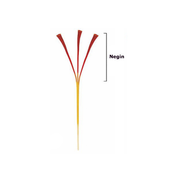 What is Negin Saffron