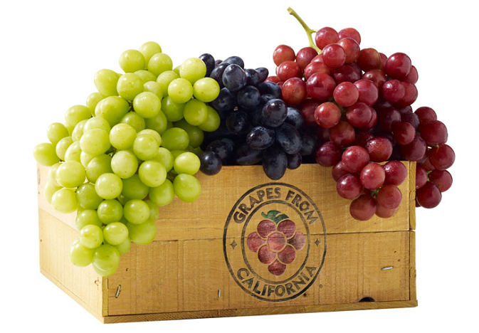 vitis vinifera and Vitaceae the scientific names of grape fruit