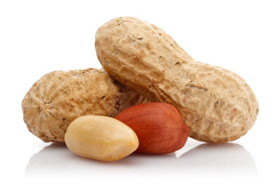 Are Peanuts Good for You ? Big Health Benefits?