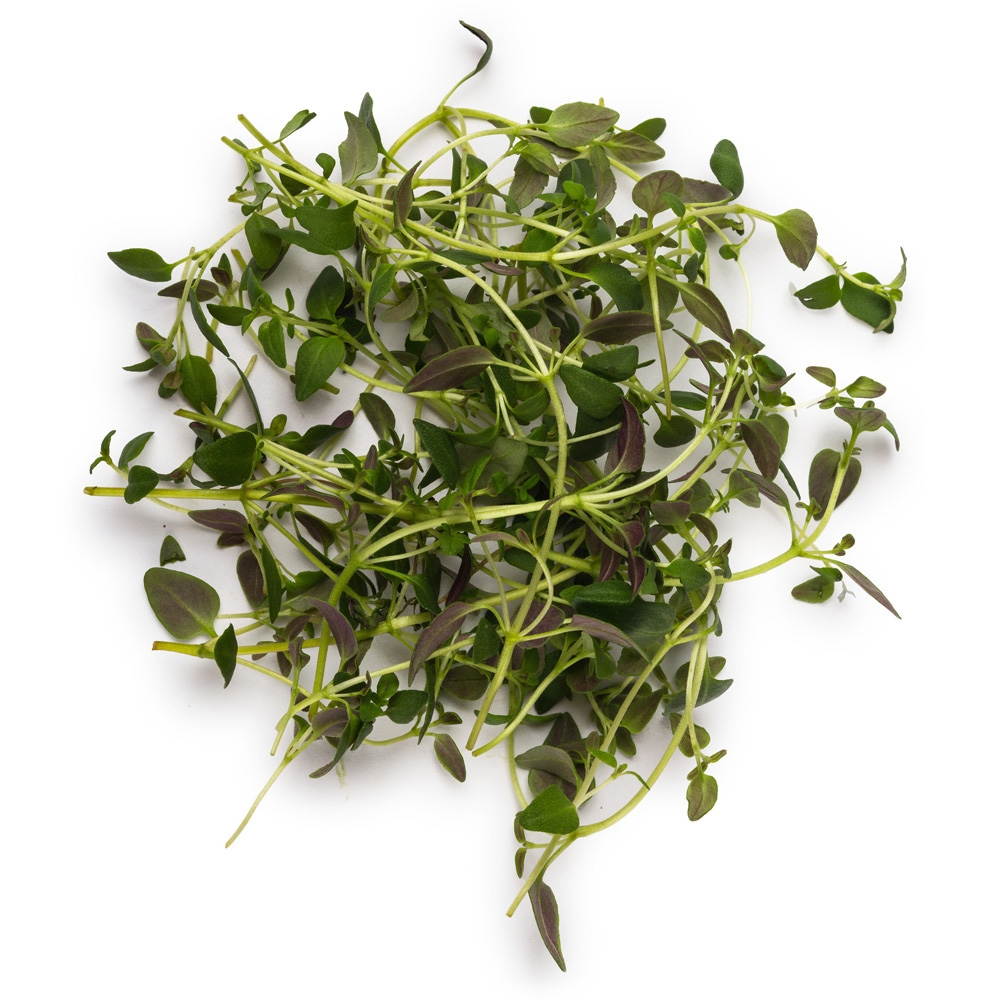 All About Thyme