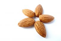 Sweet and Bitter Almonds