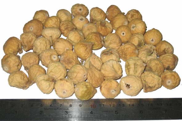 Dried Fig Close Mouth Grade AA