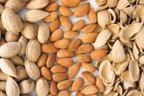 What is Almond ?