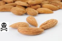 How Many Almonds Can Kill You