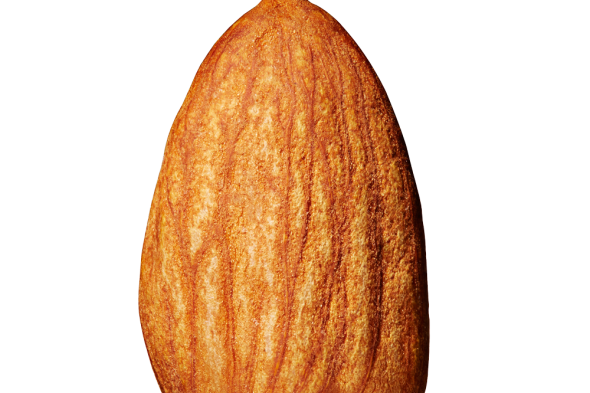 persian mamra almond ( badam )