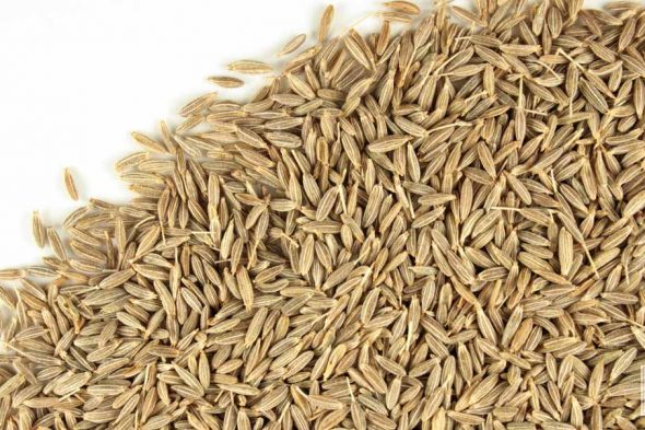 all about Cumin  Seed