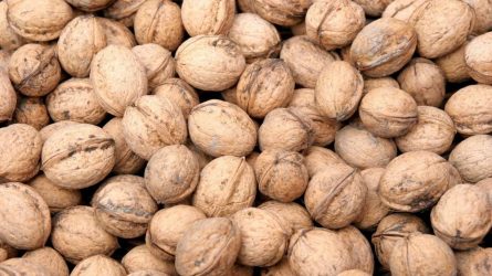 Walnut Production Management