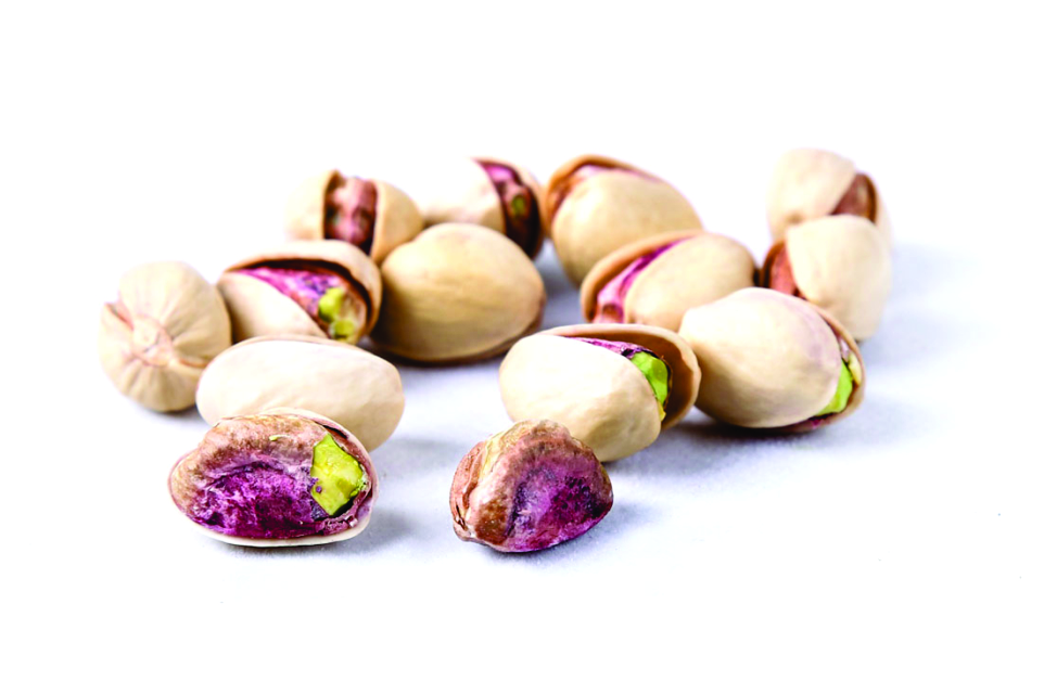 pistachio fruit » iran dried fruit pistachio fruit
