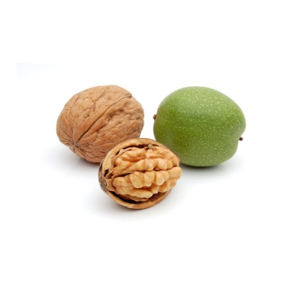 Shelled walnut