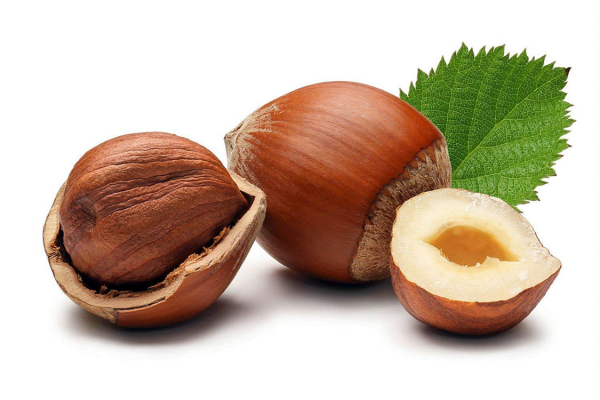 FILBERT-FRUIT filbert-shelled