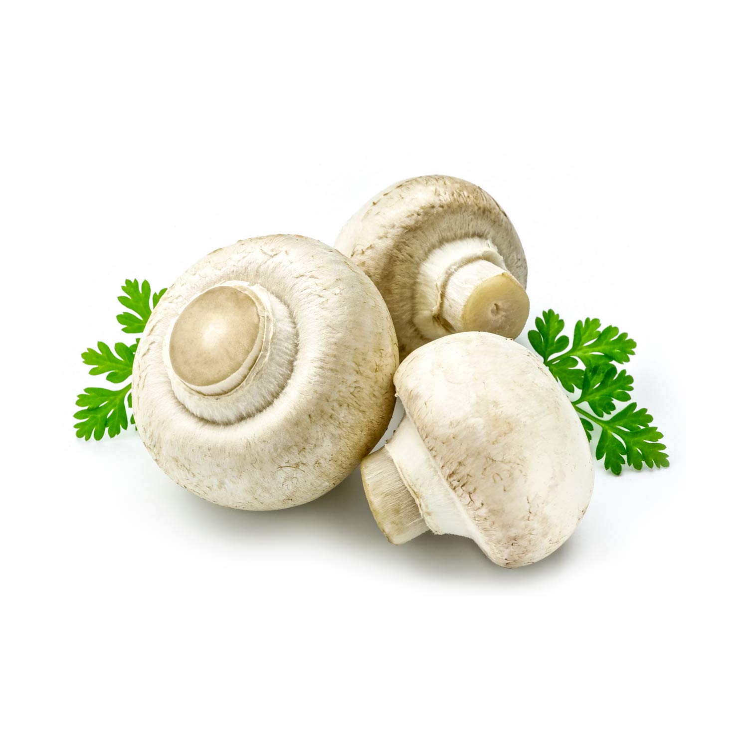 Mushrooms - Vegetables Category