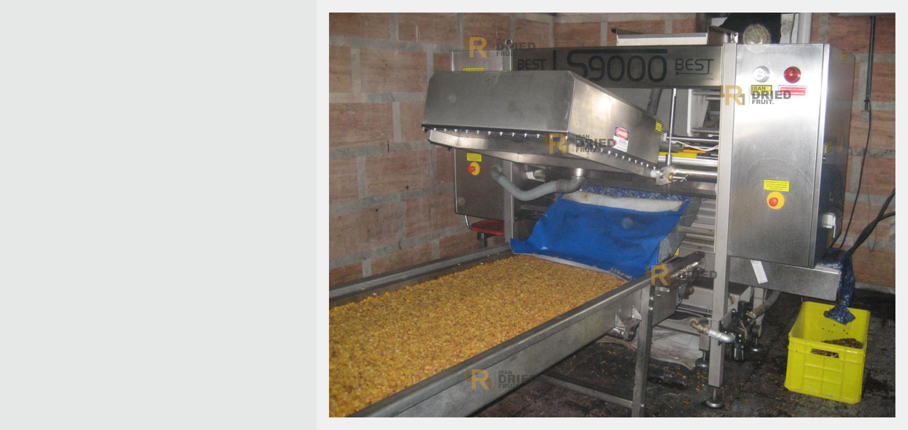 Raisin manufacturing process » iran dried fruit