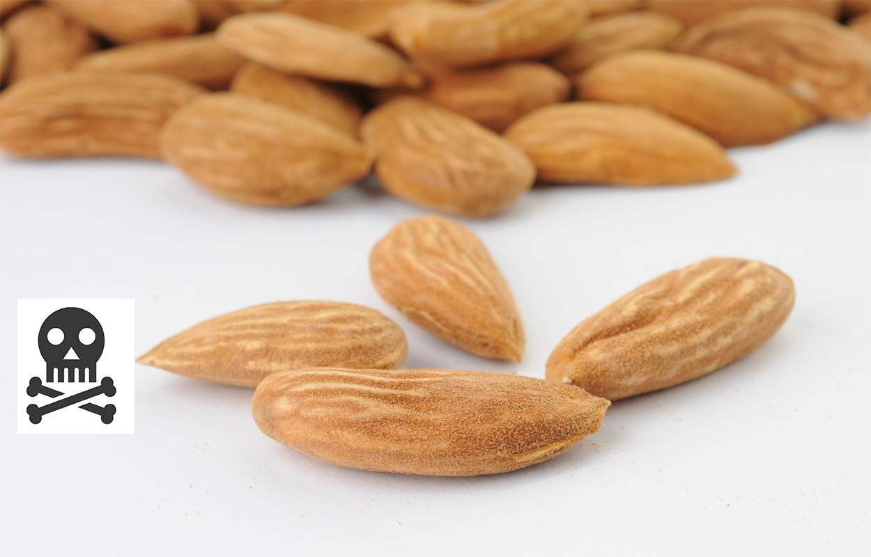 How Many Almonds Can Kill You