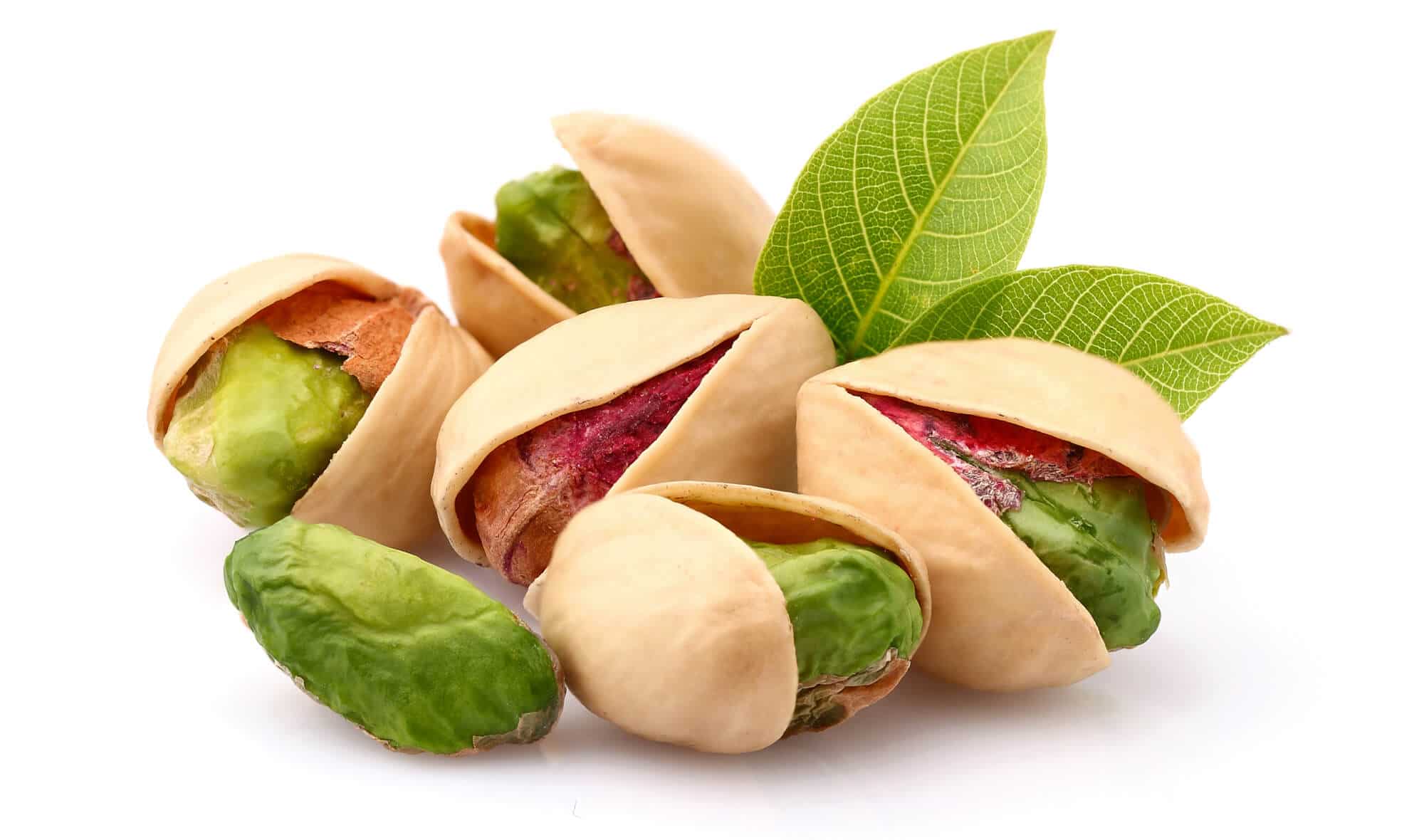 Barberry Archives Iran Dried Fruit barberry-archives-iran-dried-fruit