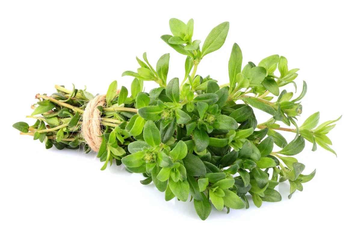 thyme uses in food