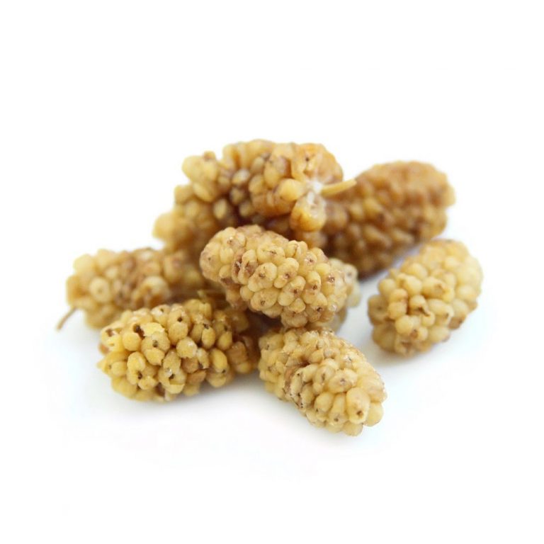 Do Dried Mulberries Expire » iran dried fruit Do Dried Mulberries Expire