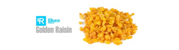 golden raisin