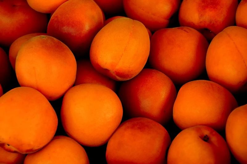 Iran Apricot Manufacturer and supplier