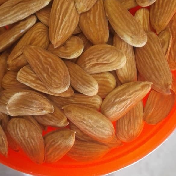 Almond History